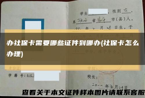 办社保卡需要哪些证件到哪办(社保卡怎么办理)缩略图