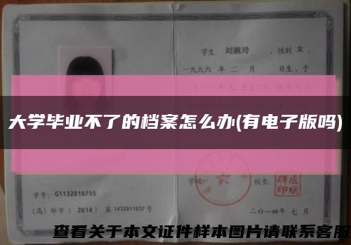 大学毕业不了的档案怎么办(有电子版吗)缩略图