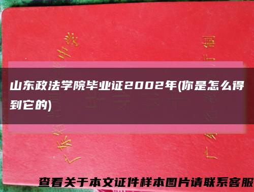 山东政法学院毕业证2002年(你是怎么得到它的)缩略图