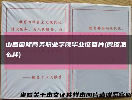 山西国际商务职业学院毕业证图片(麂皮怎么样)缩略图