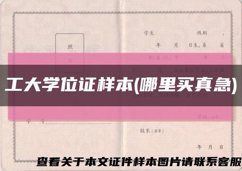 工大学位证样本(哪里买真急)缩略图