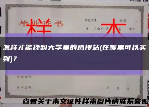 怎样才能找到大学里的函授站(在哪里可以买到)？缩略图