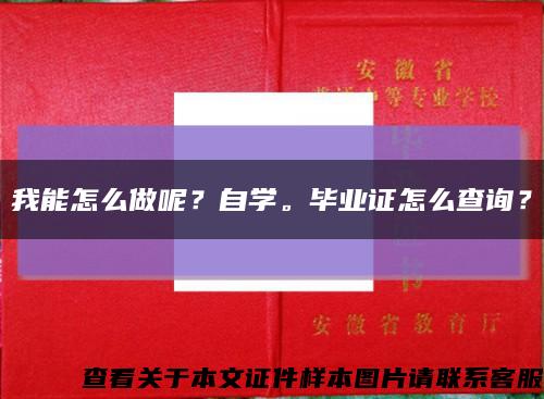 我能怎么做呢？自学。毕业证怎么查询？缩略图