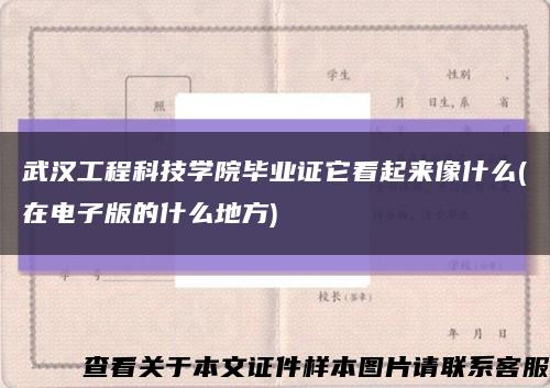 武汉工程科技学院毕业证它看起来像什么(在电子版的什么地方)缩略图