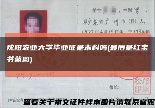 沈阳农业大学毕业证是本科吗(最后是红宝书蓝图)缩略图