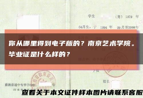 你从哪里得到电子版的？南京艺术学院。毕业证是什么样的？缩略图