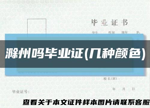 滁州吗毕业证(几种颜色)缩略图