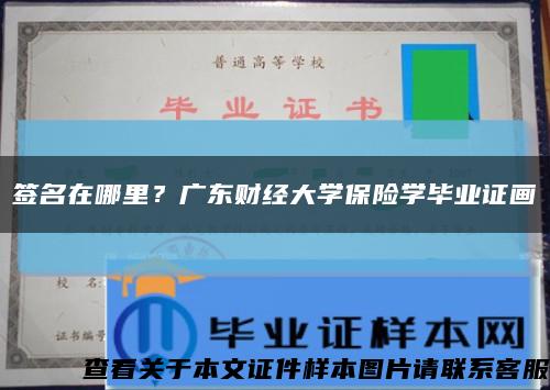 签名在哪里？广东财经大学保险学毕业证画缩略图