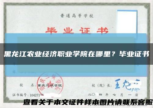 黑龙江农业经济职业学院在哪里？毕业证书缩略图