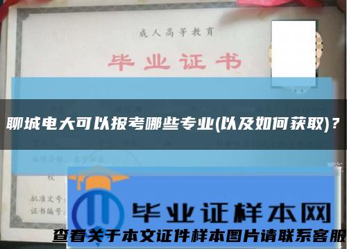 聊城电大可以报考哪些专业(以及如何获取)？缩略图