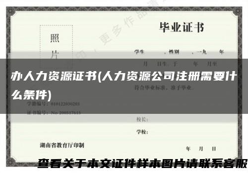 办人力资源证书(人力资源公司注册需要什么条件)缩略图