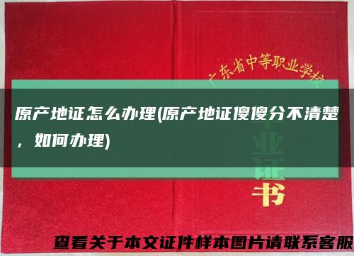 原产地证怎么办理(原产地证傻傻分不清楚，如何办理)缩略图