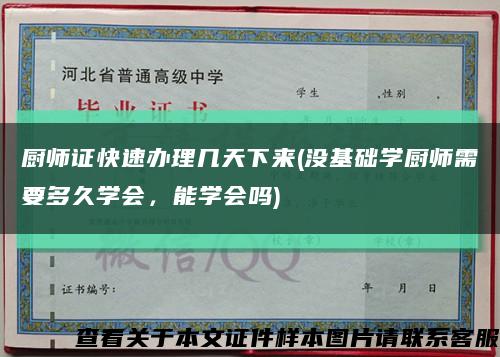 厨师证快速办理几天下来(没基础学厨师需要多久学会，能学会吗)缩略图