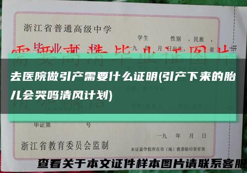 去医院做引产需要什么证明(引产下来的胎儿会哭吗清风计划)缩略图