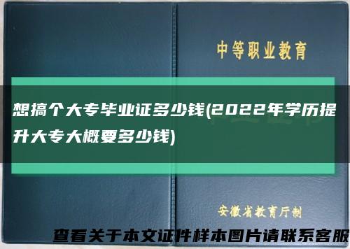 想搞个大专毕业证多少钱(2022年学历提升大专大概要多少钱)缩略图