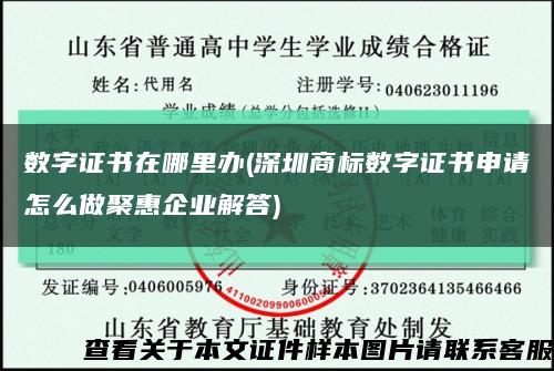 数字证书在哪里办(深圳商标数字证书申请怎么做聚惠企业解答)缩略图