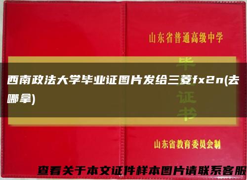 西南政法大学毕业证图片发给三菱fx2n(去哪拿)缩略图