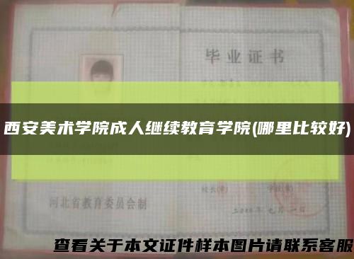 西安美术学院成人继续教育学院(哪里比较好)缩略图