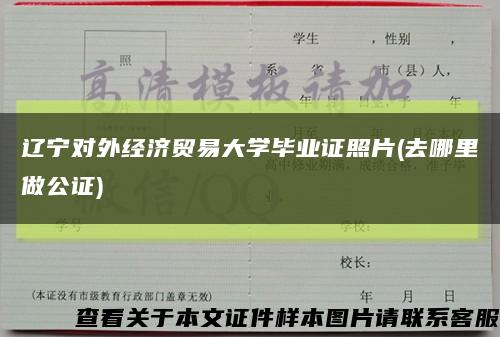 辽宁对外经济贸易大学毕业证照片(去哪里做公证)缩略图