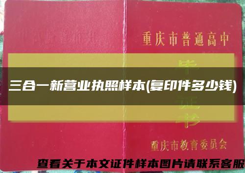 三合一新营业执照样本(复印件多少钱)缩略图