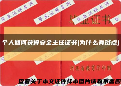 个人如何获得安全主任证书(为什么有斑点)缩略图