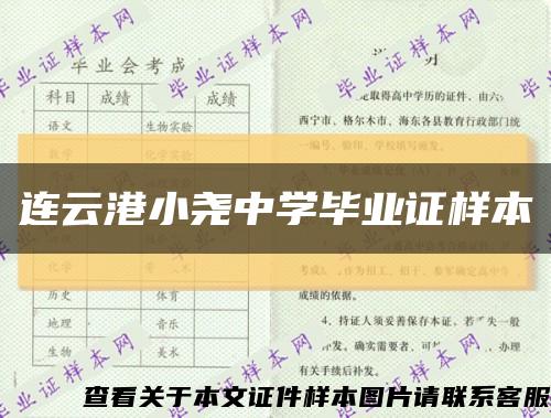 连云港小尧中学毕业证样本缩略图