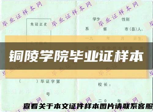 铜陵学院毕业证样本缩略图