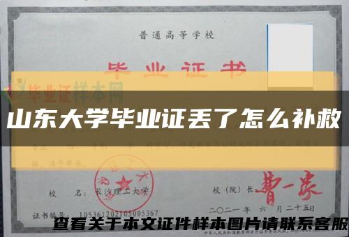 山东大学毕业证丢了怎么补救缩略图