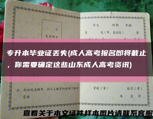 专升本毕业证丢失(成人高考报名即将截止，你需要确定这些山东成人高考资讯)缩略图