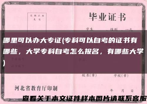 哪里可以办大专证(专科可以自考的证书有哪些，大学专科自考怎么报名，有哪些大学)缩略图