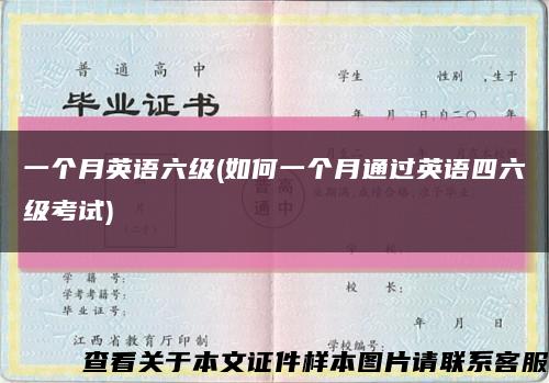 一个月英语六级(如何一个月通过英语四六级考试)缩略图