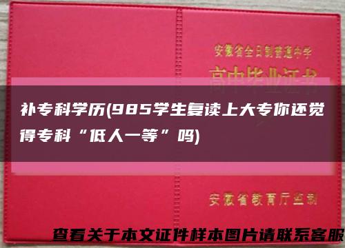 补专科学历(985学生复读上大专你还觉得专科“低人一等”吗)缩略图