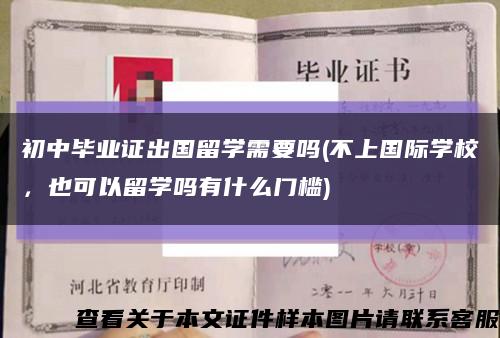 初中毕业证出国留学需要吗(不上国际学校，也可以留学吗有什么门槛)缩略图