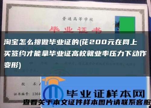 淘宝怎么搜做毕业证的(花200元在网上买签约才能拿毕业证高校就业率压力下动作变形)缩略图