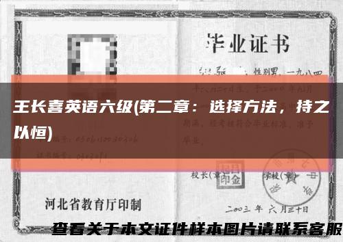 王长喜英语六级(第二章：选择方法，持之以恒)缩略图