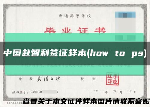 中国赴智利签证样本(how to ps)缩略图