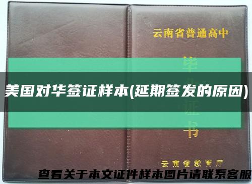 美国对华签证样本(延期签发的原因)缩略图