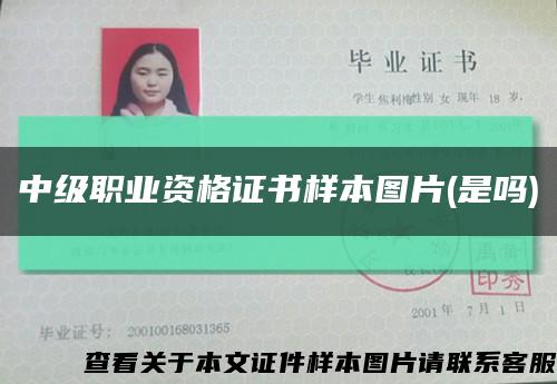 中级职业资格证书样本图片(是吗)缩略图