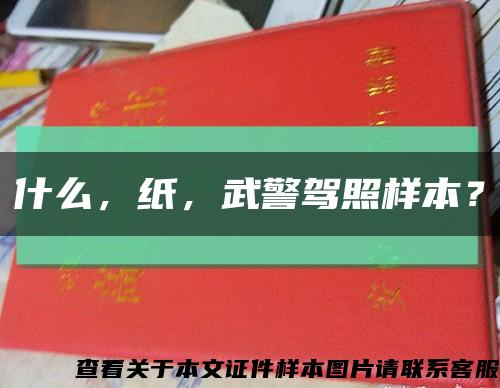 什么，纸，武警驾照样本？缩略图