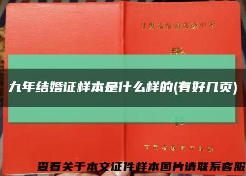 九年结婚证样本是什么样的(有好几页)缩略图