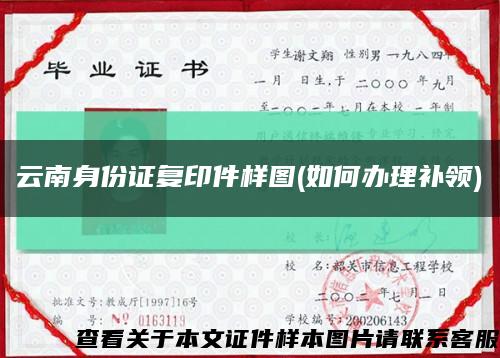 云南身份证复印件样图(如何办理补领)缩略图