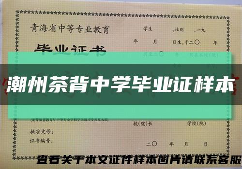 潮州茶背中学毕业证样本缩略图