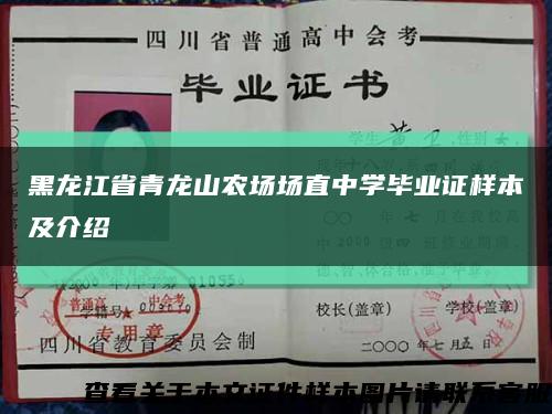 黑龙江省青龙山农场场直中学毕业证样本及介绍缩略图