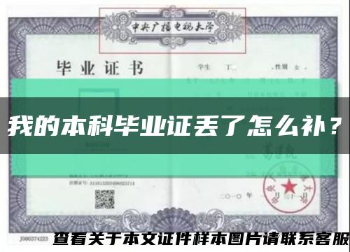 我的本科毕业证丢了怎么补？缩略图