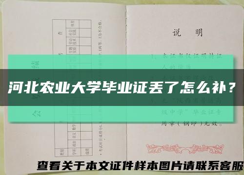 河北农业大学毕业证丢了怎么补？缩略图