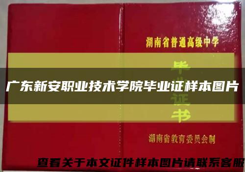 广东新安职业技术学院毕业证样本图片缩略图