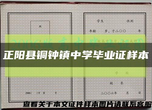 正阳县铜钟镇中学毕业证样本缩略图