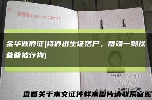 金华做假证(持假出生证落户，南靖一糊涂爸爸被行拘)缩略图