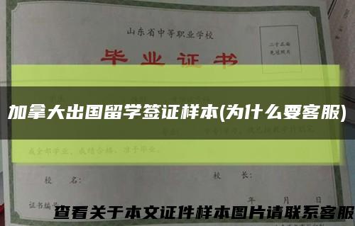 加拿大出国留学签证样本(为什么要客服)缩略图