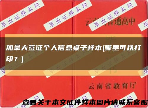 加拿大签证个人信息桌子样本(哪里可以打印？)缩略图